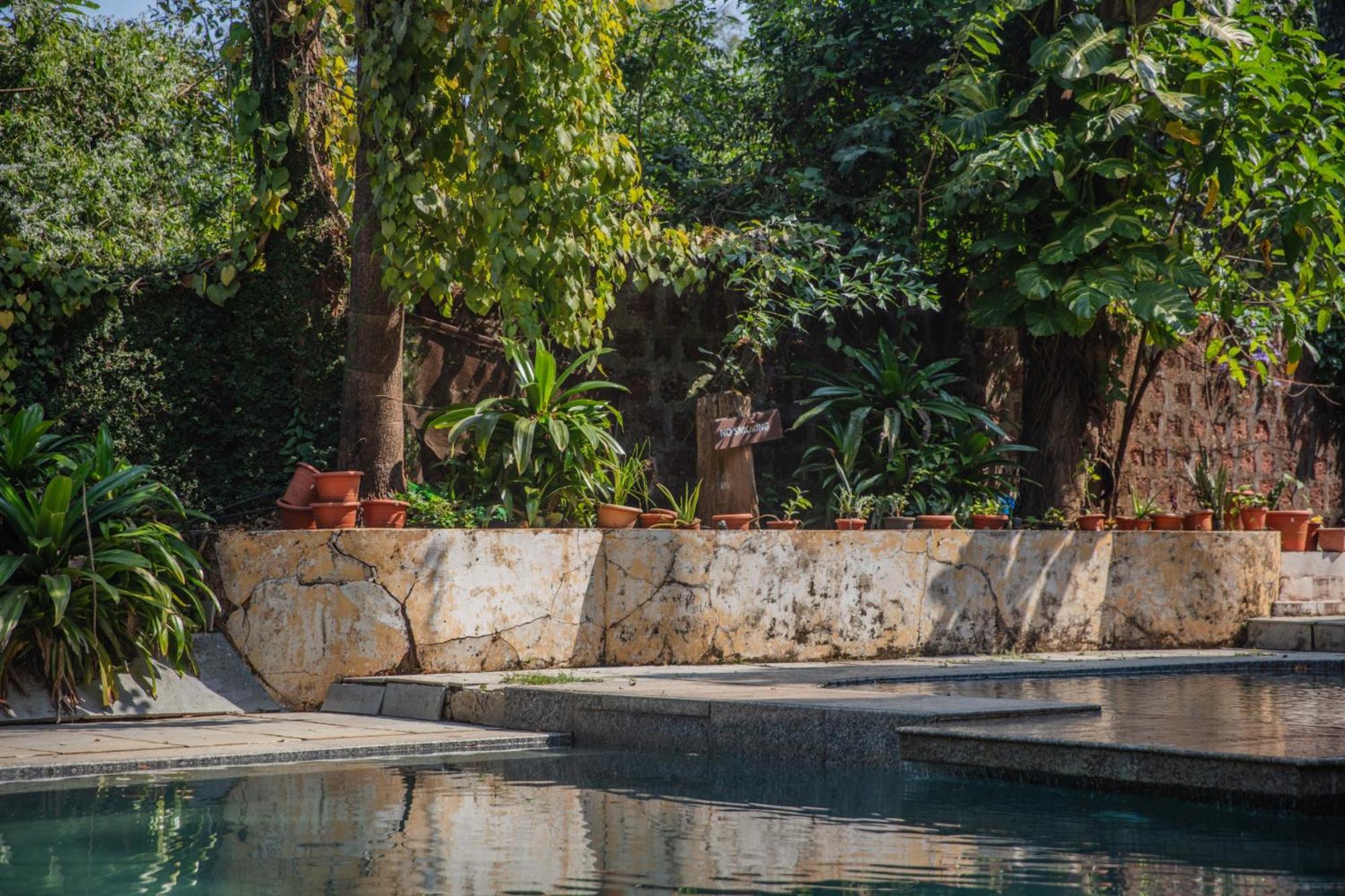 Satori Wellness Cottages I Yoga, Sauna, Ice Bath, Holistic Therapies & More 曼德姆 外观 照片