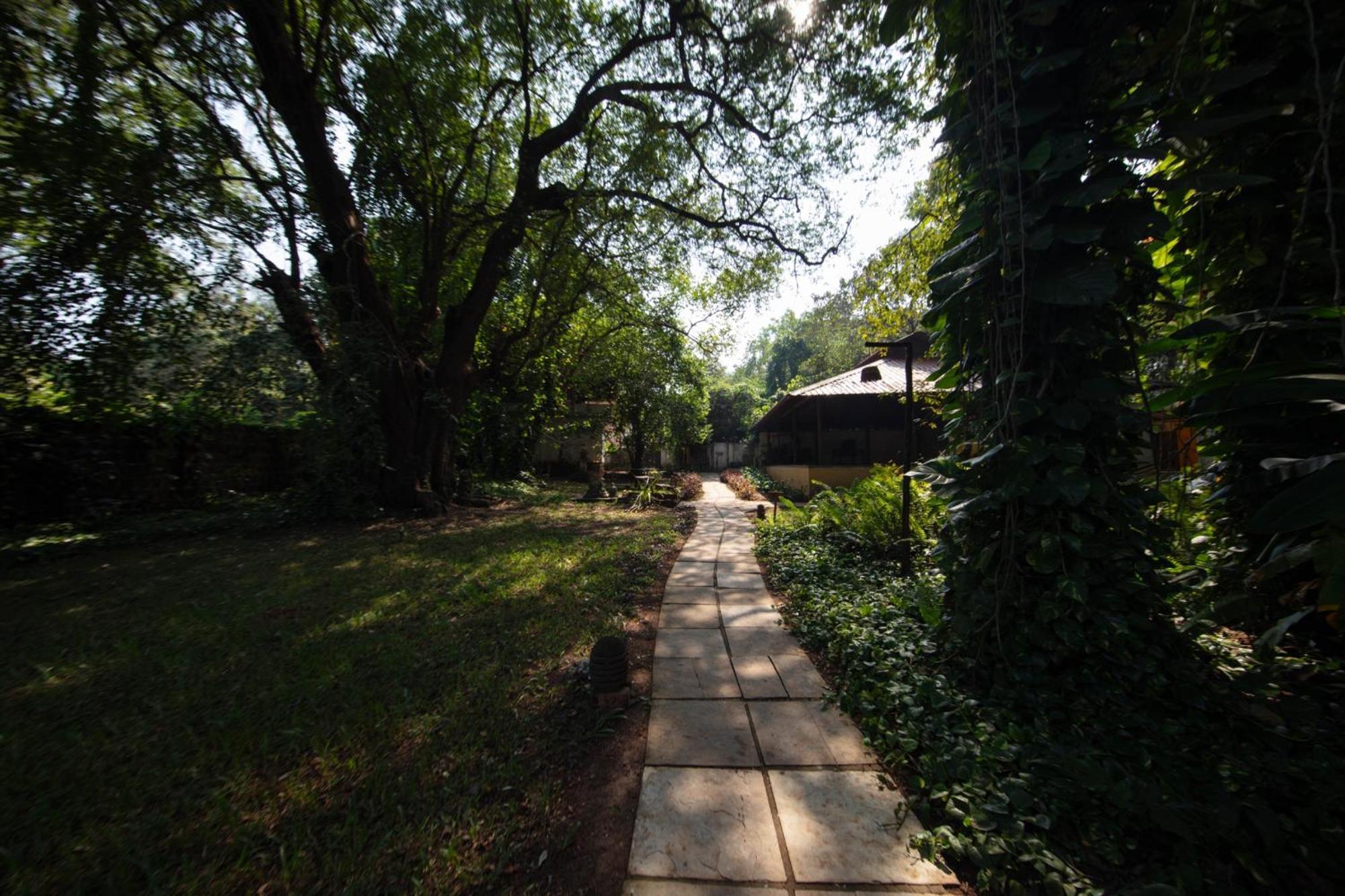 Satori Wellness Cottages I Yoga, Sauna, Ice Bath, Holistic Therapies & More 曼德姆 外观 照片