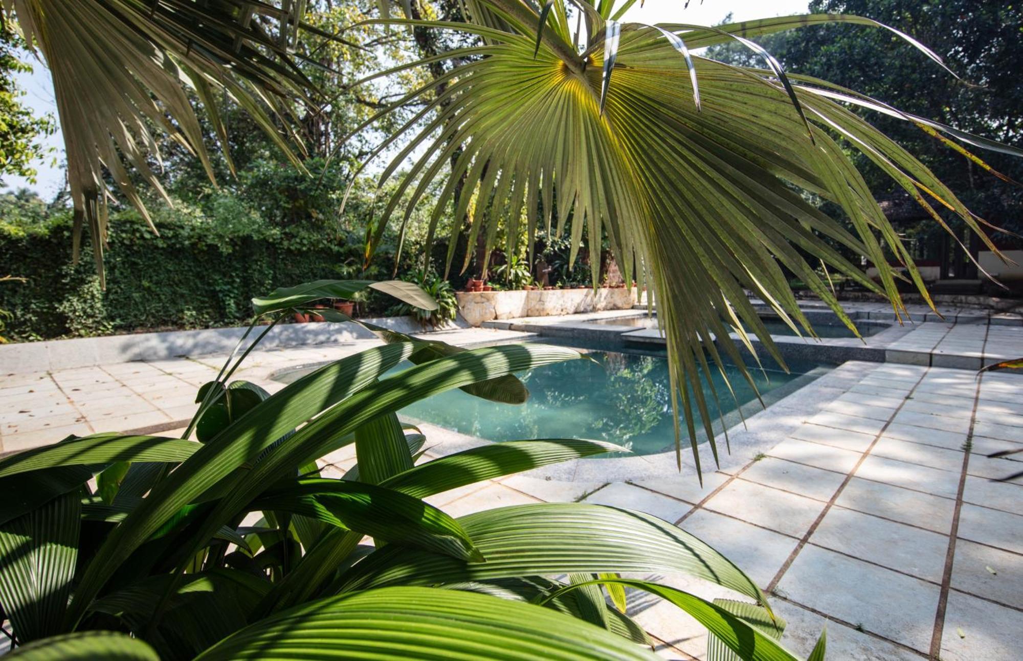 Satori Wellness Cottages I Yoga, Sauna, Ice Bath, Holistic Therapies & More 曼德姆 外观 照片